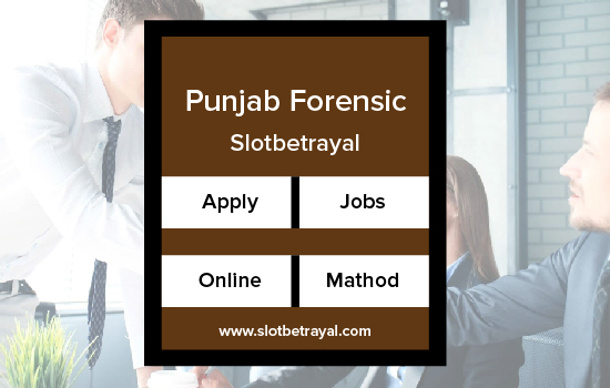Punjab Forensic Science Agency Jobs 2024