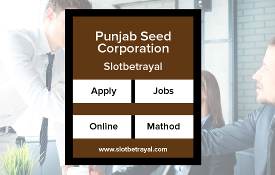 Punjab Seed Corporation Jobs 2024
